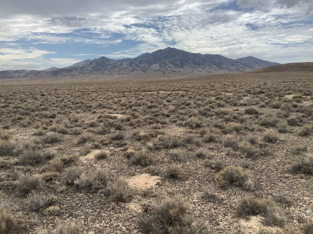 Scenic 10 Acres in Pilot Valley, Elko County, NV – Ready for Your Vision!